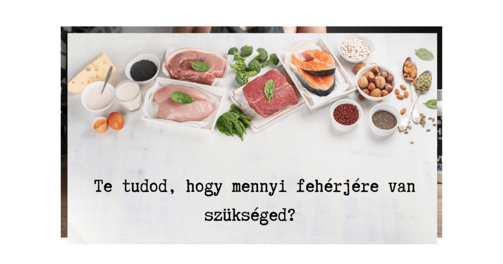 Mennyi fehérjére van szüksége egy 50 év feletti nőnek? fehérje4