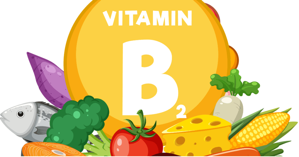 b vitaminok1